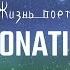 Монатик Жизнь поет Lyrics