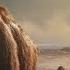 A Modern Day Woolly Mammoth May Be Just A Few Years Away Biotech Company Says