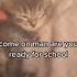 Wakey Wakey It S Time For School Come On Cat Cute Cutecats Shorts