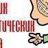 Унтер Пришибеев 4 Унтер Пришибеев Конец Ну