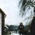 David Gilmour Cry From The Street