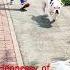 American Bullies In Soweto