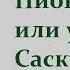 Джеймс Фенимор Купер Пионеры или у истоков Саскуиханны Часть первая Аудиокнига