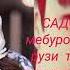 Пахх и трек ютуба кафонд Садои баланд 1 2 3