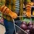 Part 50 Pesanan Terakhir Markisa Raksasa Kucing Cat Shorts