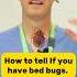 Why You Might Have Bed Bugs Shorts