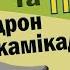 Пес Патрон Вовк Діккі та дрон камікадзе Ролик 6 Безпека з Вовком Діккі