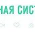 19 Нервная система Окружающий мир 3 класс