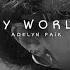 You Set My World On Fire Adelyn Paik