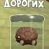 САМЫЕ ДОРОГИЕ ПРОДАЖИ в Мертвые рельсы Dead Rails Roblox Самые ценные вещи и их цены Shorts