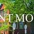 It S All Happening SAINT MOTEL HD Official Audio No Ads