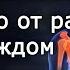 Феномен генетических близнецов и донорство костного мозга Роман Поликарпов Научпоп