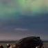 3D Animation Wildlife Aurora Unreal Engine 5 Nature Shorts