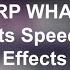 Making DERP WHAT THE FLIP Csupo Effects Speedrun Be Like Effects