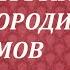 Вычитка 7 Богородичных псалмов на 7 заговорных слов