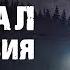 СОРВАВШИСЬ С ОБРЫВА ОНА ДОЛЖНА БУДЕТ ВЫЖИТЬ В ГЛУХОМ ЛЕСУ Сигнал бедствия Зарубежные фильмы