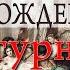 Сатурналии за века до Рождества и современного Нового года