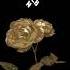 Rick Ross Gold Roses Ft Drake 963Hz