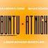 Shahrokh Dini X Shakedown Ubuntu David Mayer Remix X At Night Louis Bongo Bootleg