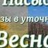 Юрий Насыбуллин Весна и Дарья Харитоновна уточнённая редакция Читает Марина Багинская