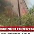 Incendio Forestal Alarma 3 En El Km 33 De La Vía Perimetral Sentido Hacia La Costa Uniónnoticiosa