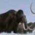 ICE AGE Walking With Beasts BBC