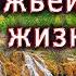 Оскаленко А Н Источники силы Божьей в твоей жизни