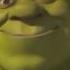 All Stars Shrek