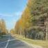Осень бабье лето