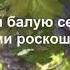 День 20 Марафон Изобилия Дипак Чопра