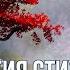 Магия стихий Что такое стихии Обучение