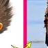 The Angry Birds Movie 2 And 1 Real Life