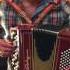 Irish Polkas On Accordion