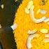 Zarda Rice Recipe شادیوں والا دیگی زردہ प ल च वल Sweet Chawal BaBa Food RRC