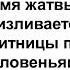 10 11 24 Видение Даниила о нашем времени Тарасенко В