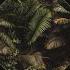 The Oddness Jungle Stories DIBIDABO Remix MŎNɅDɅ