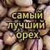Самый лучший орех орехи полезно здоровоепитание здороваяеда здоровье грецкиеорехи миндаль
