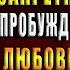 Академия запретной магии Пробуждение хранителя Анна Минаева Аудиокнига