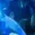 Cavin Scott Hot Clip Officiel