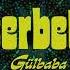 Gülbaba Şerbet Official Lyric Video şerbet Gülbaba