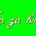 Футаж на зеленом фоне Спасибо за внимание