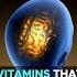 Vitamins For Brain Health Jim Kwik