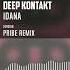 Deep Kontakt Idana Pribe Remix Official Audio