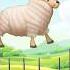 Mustafa Mustafa Allah Hu Akbar Islamic Video Trending Animals Islamicshorts Naat