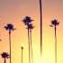 Souleance La Californie