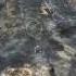 WoT Tours Stalingrad