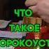Что такое СОРОКОУСТ