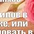 Аудиокнига Роман Доктор Данилов в поликлинике или Добро пожаловать в ад Андрей Шляхов