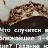 Что случится в ближайшие 3 4 дня Гадание на кофейной гуще Margo PRO Magic