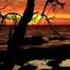A Premonition Full Original Melodic Death Metal Song